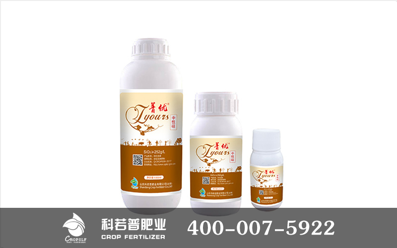 标题.jpg